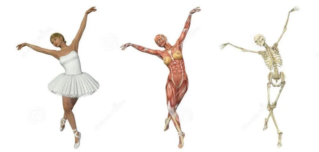 人人学得会的芭蕾课:「气质芭蕾」4周高级感 · 挺拔体态训练计划-第17张图片-爱课啦